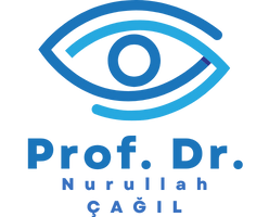 Prof. Dr. Nurullah Çağıl Logo